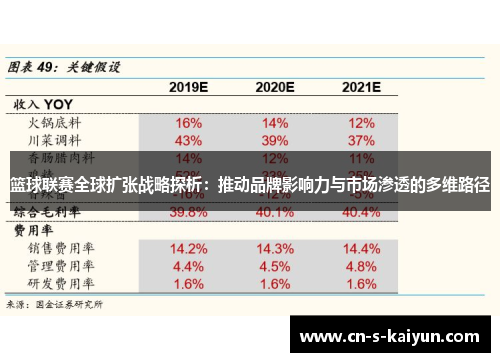 篮球联赛全球扩张战略探析：推动品牌影响力与市场渗透的多维路径