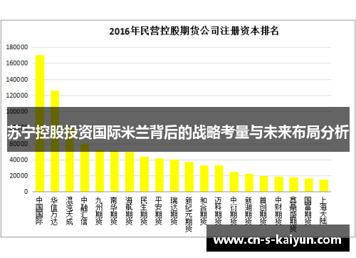 苏宁控股投资国际米兰背后的战略考量与未来布局分析